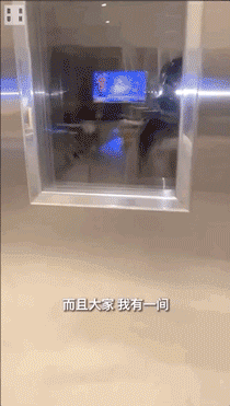 1599530500433889.gif 微信圖片_20200908093551.gif
