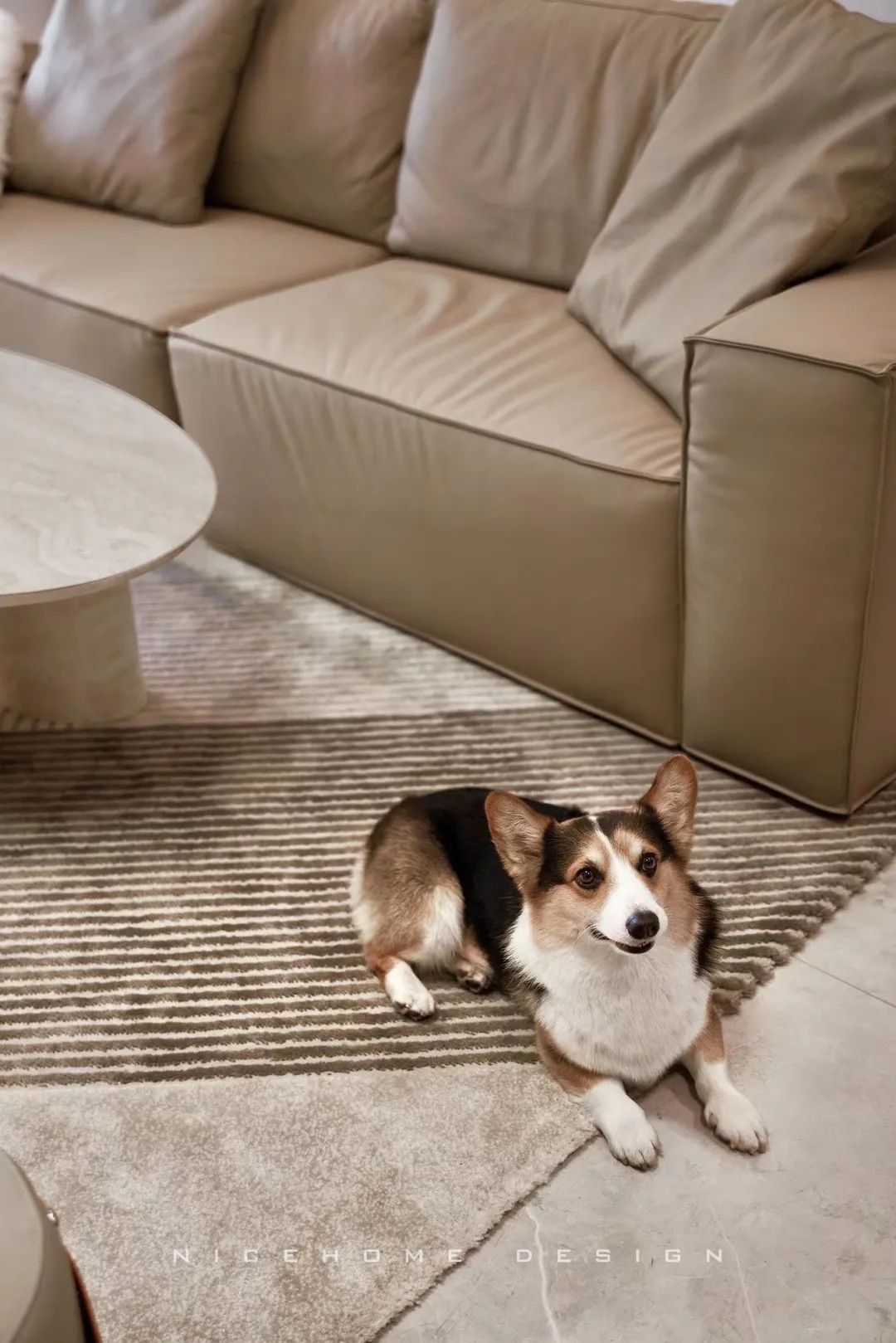 1665370351120054.jpg 微信圖片_20221010104411.jpg